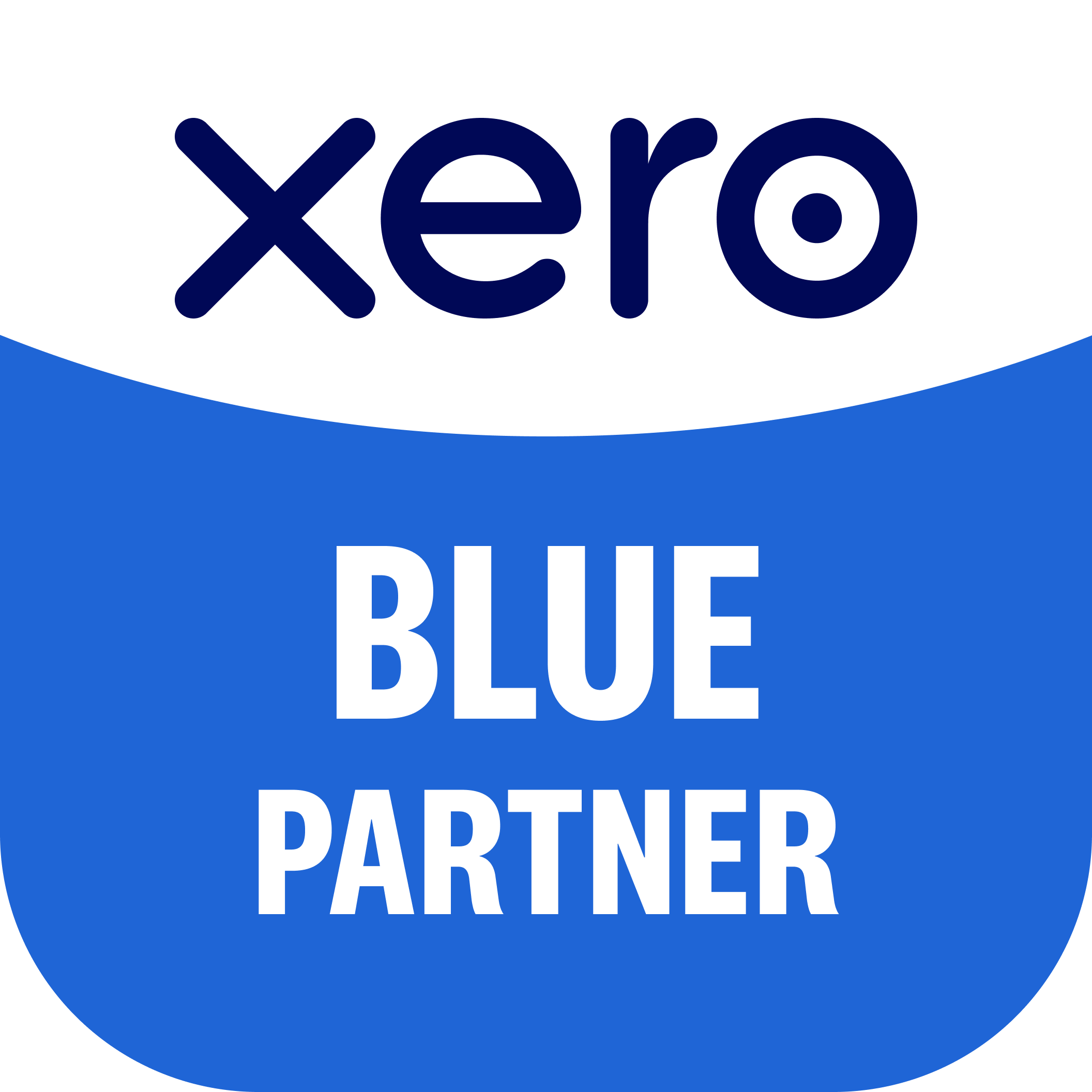 Xero Blue Partner